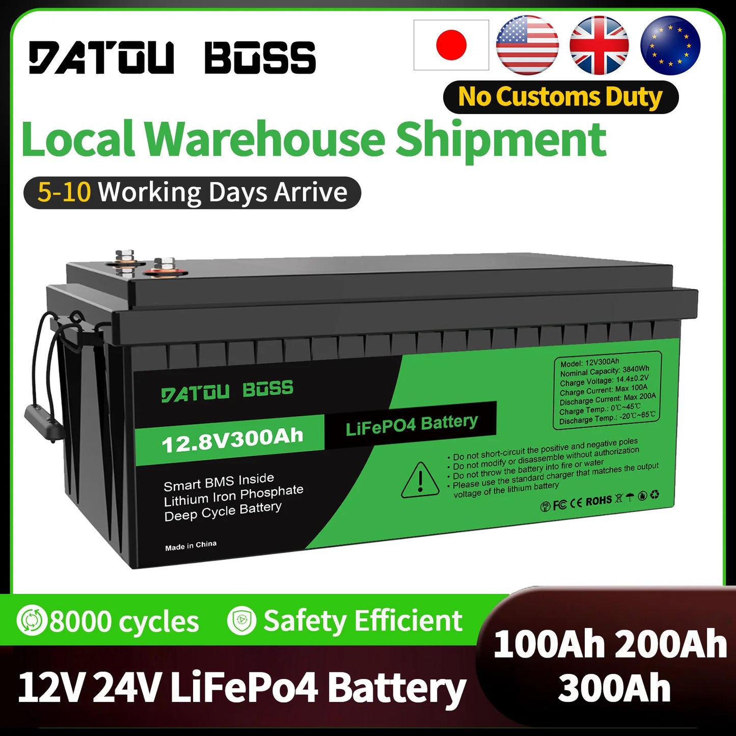 LiFePO4 12V Battery with BMS 8000Cycles