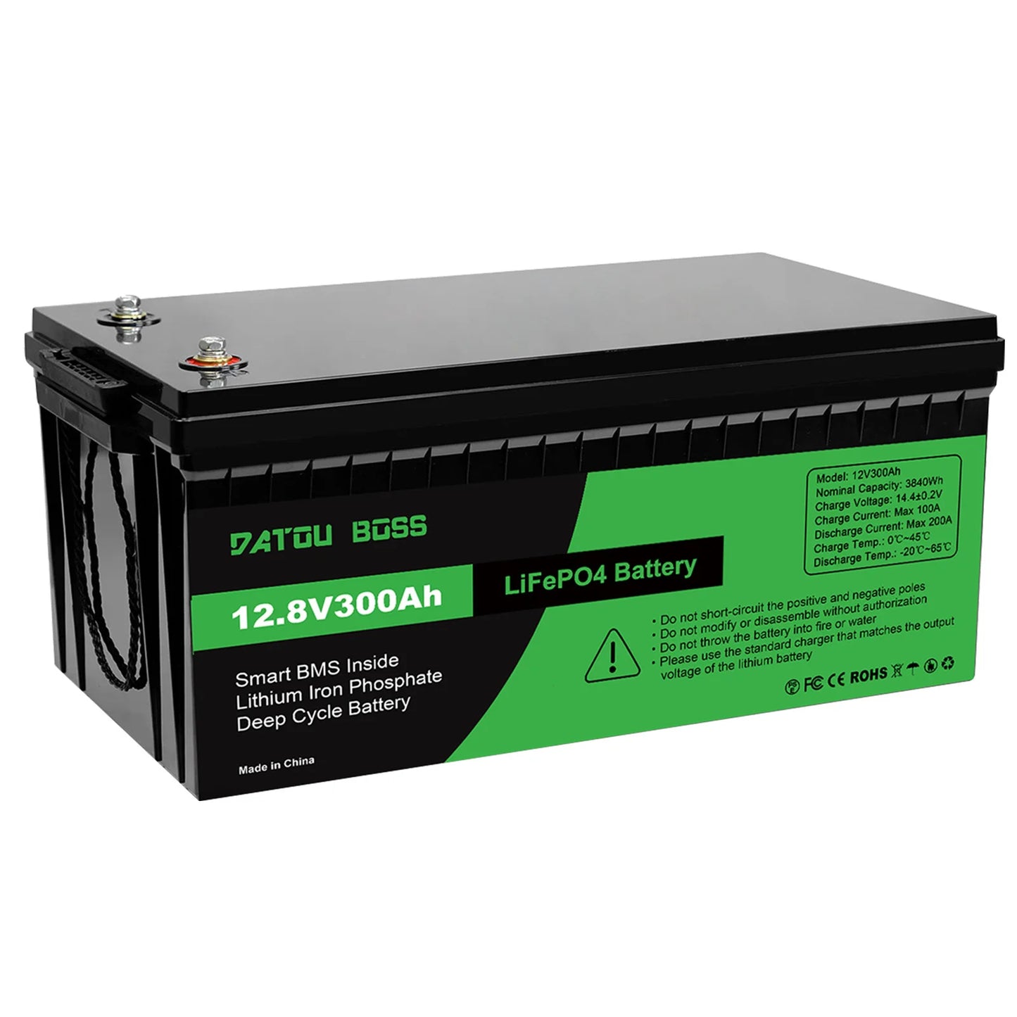 LiFePO4 12V Battery with BMS 8000Cycles