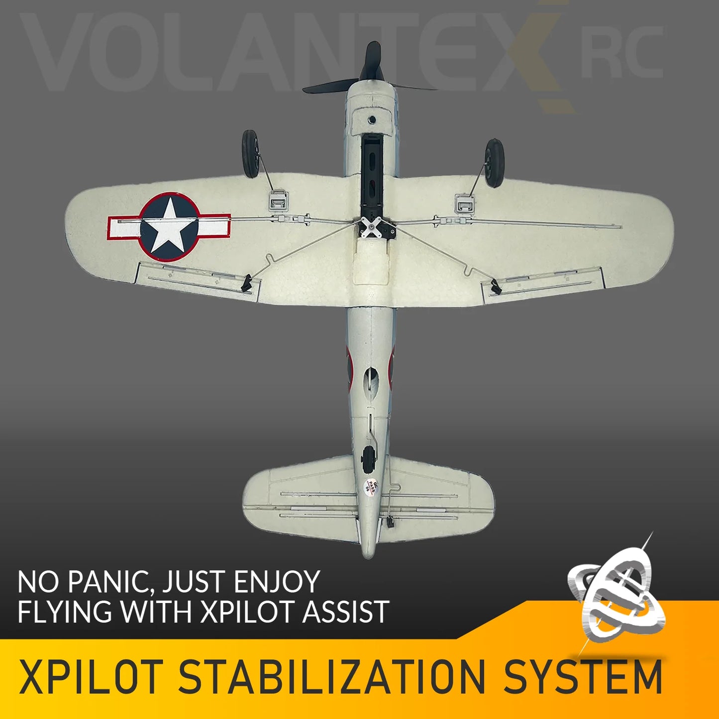 RC Planes for Adults